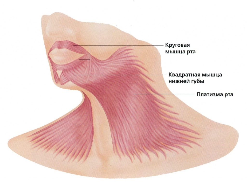 процедура платизмопластики