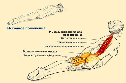 Сколиоз: симптомы и упражнения, чтобы убрать искривление позвоночника